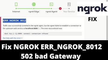 Ngrok complete Troubleshoot 502 bad gateway