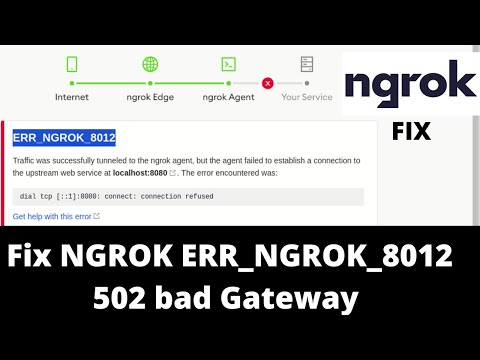 Ngrok complete Troubleshoot 502 bad gateway