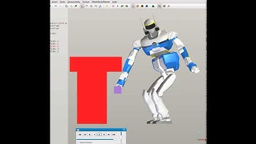 HRP2- Posture Optimization