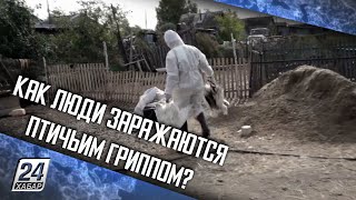 :     ?