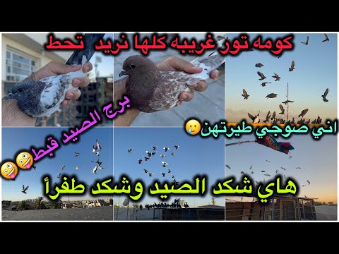 خبطو الحباري الجديده شكد الضياع اليوم شكد الصيد اني صوجي كشيتهن