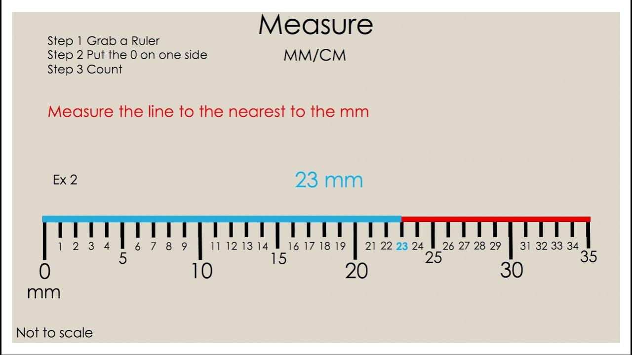 Version 2.0 Measure How to Use a Ruler in Centimeters and