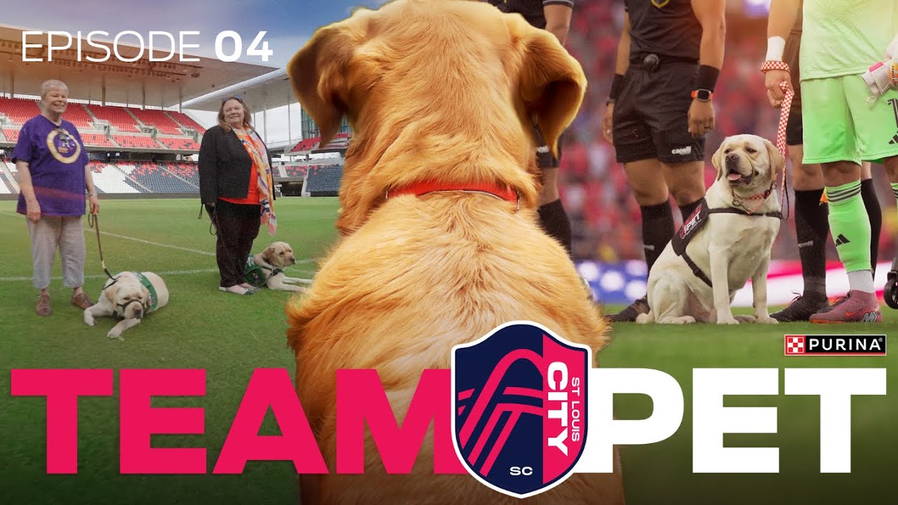 A New Teammate Joins the Squad | Purina TEAM PET: Ep 4