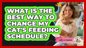 What Is The Best Way To Change My Cat