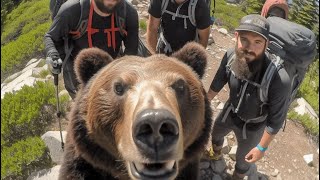 BEARS doing UNBEARABLE things | The Funniest Bears by Chucklesome Creatures 1,412 views 1 year ago 3 minutes, 3 seconds