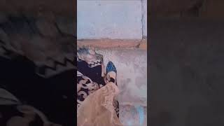 #short video #music #love  #farheen Malik🥰