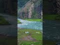 #netural #travel #shorts #minivlog #ytshorts