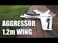 Aggressor 1.2m Swept Forward Wing - Overview