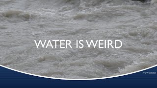 Marine Biology at Home 2: Water is Weird