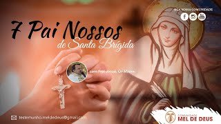 Os Sete Pai Nossos de Santa Brigida Oracao Diaria Frei Josue