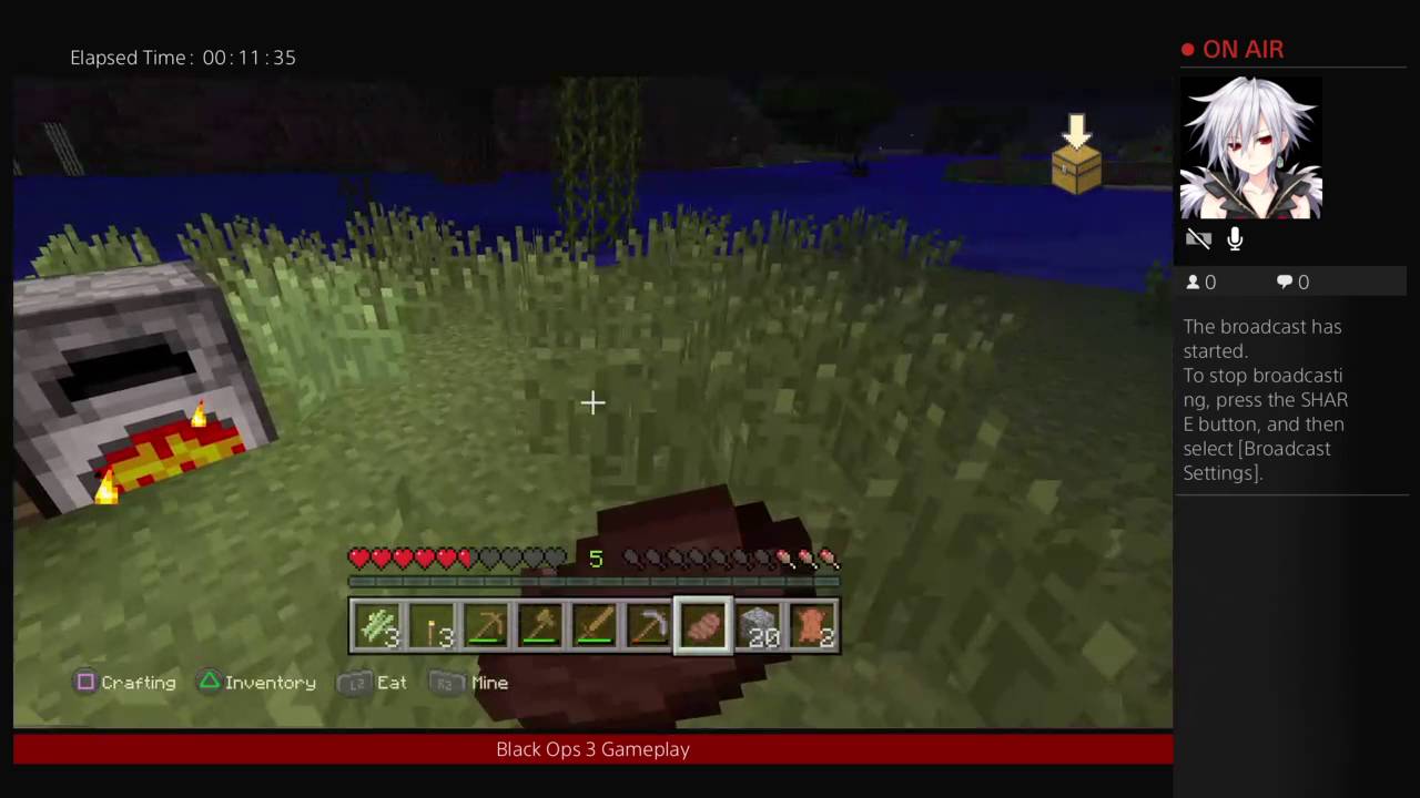 PizzaCatGaming's Live Broadcast