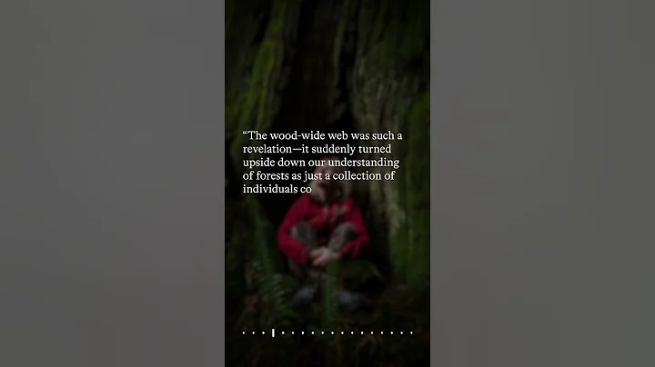 Finding the Mother Tree – A Conversation with Suzanne Simard