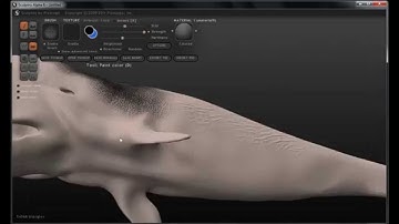 Whale,  A 3D Tutorial using Scuptris, Blender3d, Vue, and Gimp - by Daniel Eskridge