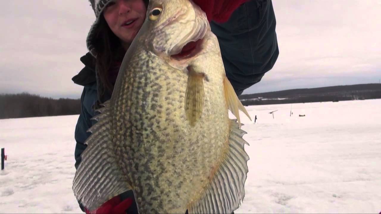 Pêche blanche, centre de pêche Standred'Argenteuil YouTube