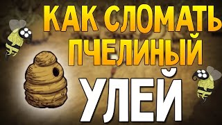 Don&#39;t Starve Прохождение: #1 - УКРАЛ МЁД ИЗ УЛИКА