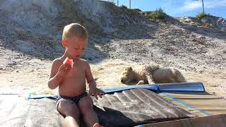 видео: «Может, это сахар?» — Севa пробует соль Солёного озера! картинка: «Может, это сахар?» — Севa пробует соль Солёного озера!