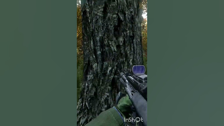 Nunca vi tanta gente junta #shorts #dayz #kibito