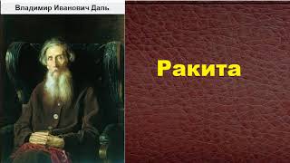 Владимир Иванович Даль.  Ракита.  аудиокнига.