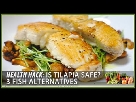 Is Tilapia Safe? 3 Fish Alternatives: Health Hacks- Thomas