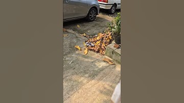 Outdoor rc car mechanum wheel