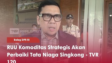 Baleg DPR RI : RUU Komoditas Strategis Akan Perbaiki Tata Niaga Singkong - TVR 120