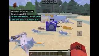 Do you wanna see a magic trick