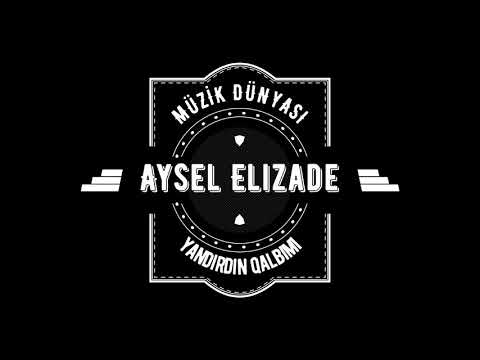 Aysel Elizade 