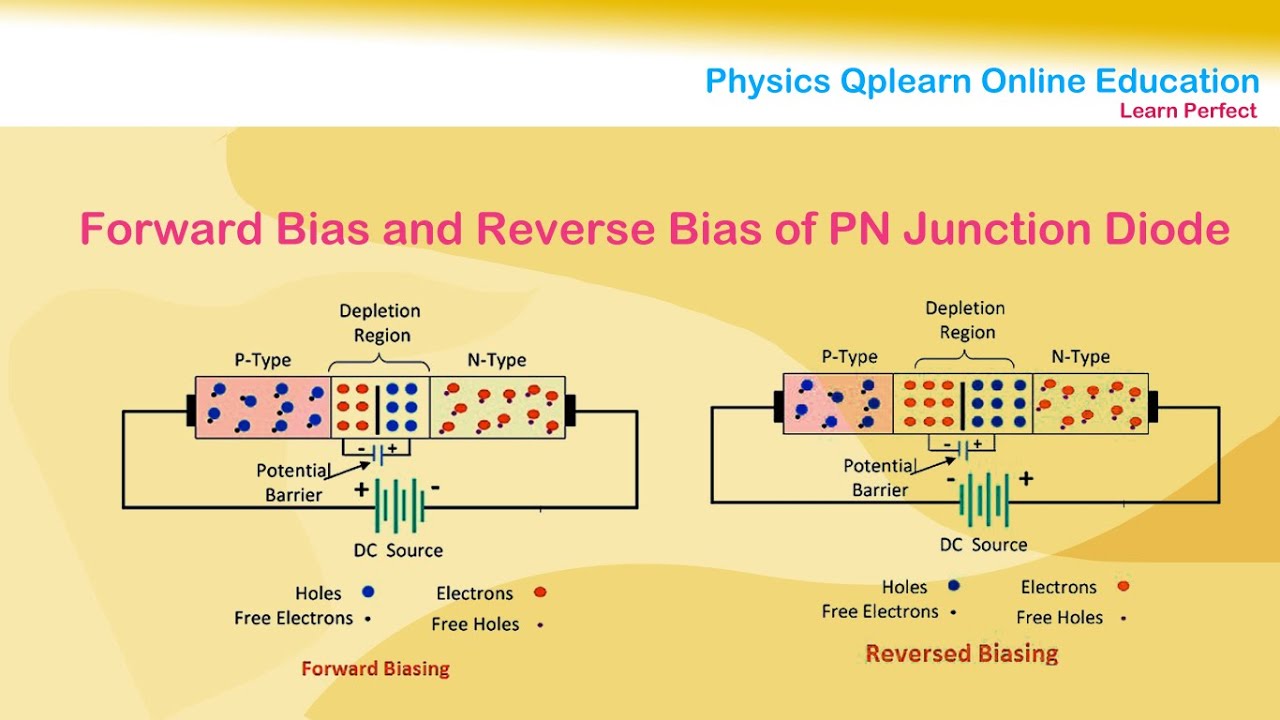 forward bias and reverse bias of pn junction diode | PN Junction Diode