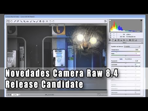 adobe camera raw 8.4 download adobe camera raw 8.4 download