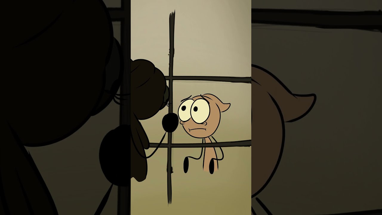 Life Of A Dookie 8 4k Memes Shorts