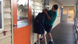 Foolish Head Banging On Wall