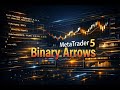 02-Binary Arrows-(OPEN SOURCE CODE)