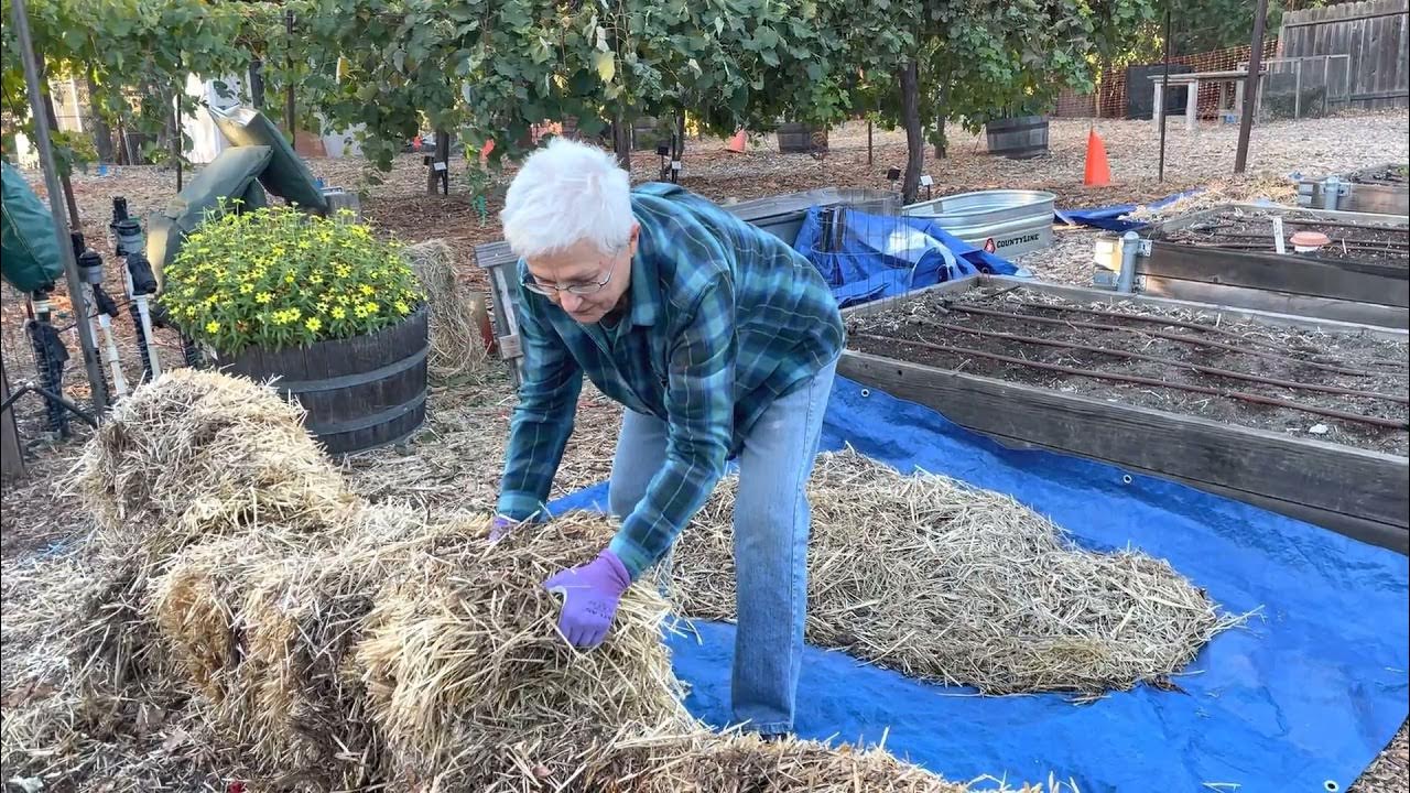 Straw Bale Gardening: Don't Overlook THIS Hidden Danger - The Grow