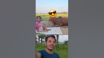 Lovely Cow 😎❤️ Sigma rule | inspirational quotes | motivational quotes #shorts #motivational