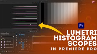 What information does the Lumetri histogram scope provide in premiere pro? #premierepro