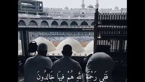 أرح سمعك تلاوة القرآن الكريم القارئ عبد لله الموسي