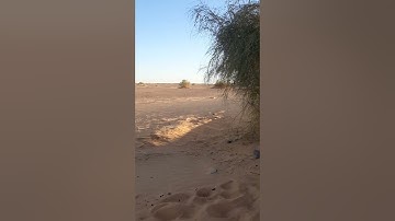 تلاوة من أعماق الصحراء في تينركوك الجزائر