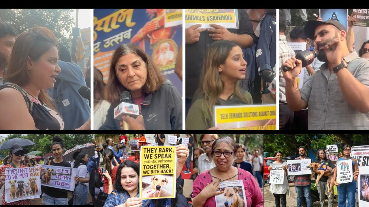 Save Animals |  Save Dogs | Delhi Protest Nov 2025 | Voice for the Voiceless | Choose Compassion