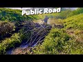 Beaver dam removal next to public road