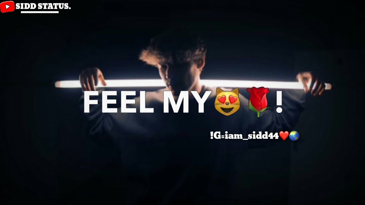 Instagram Story Status Instagram Reel Love Status Status For