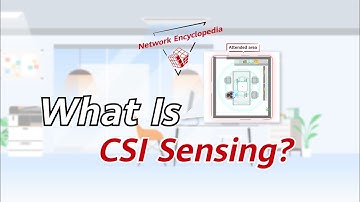 What Is CSI Sensing
