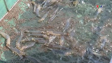 Hơn 125 000 tỷ đồng cho vay lĩnh vực nông – lâm   thủy sản