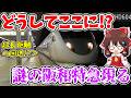 【なんでここに!?】姫路に阪和特急!? 超長距離回送!? 痛勤を支える!? 1日2本限定で見られる不思議な光景とは…【ゆっくり実況】
