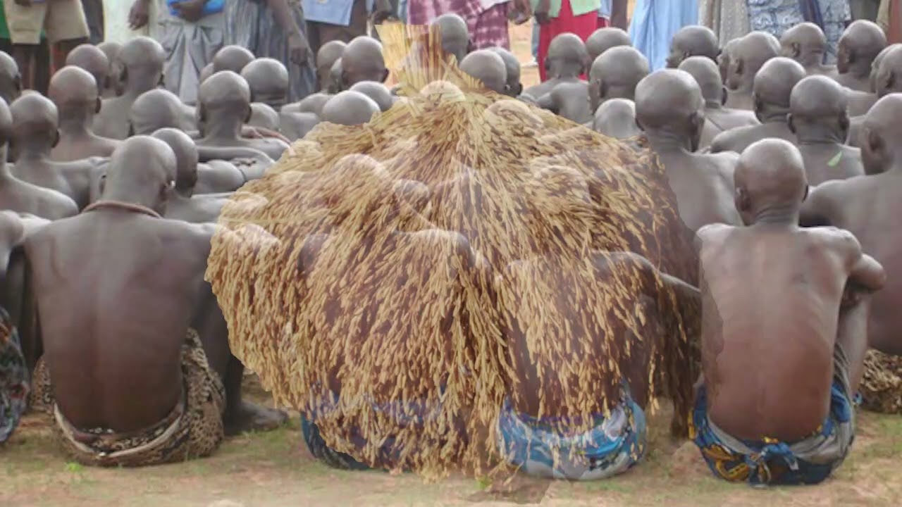 Banigue  à Mlomp Kassa !