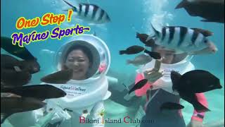 Top Things To Do In Guam All Bikini Island Club Activities Explained