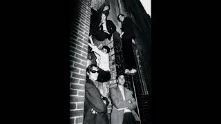 The Psychedelic Furs - Party On The Stairs (1979 demo)