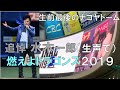 【追悼 水木一郎】生声の燃えよドラゴンズ2019(生前 最後のナゴヤドーム )◯中日ドラゴンズ