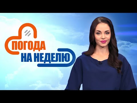 Дождливый сентябрь! Прогноз погоды с 3 по 8 сентября | Погода на неделю | Плюс-минус