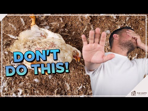 Video: 3 Ways to Clean Pizza Rocks