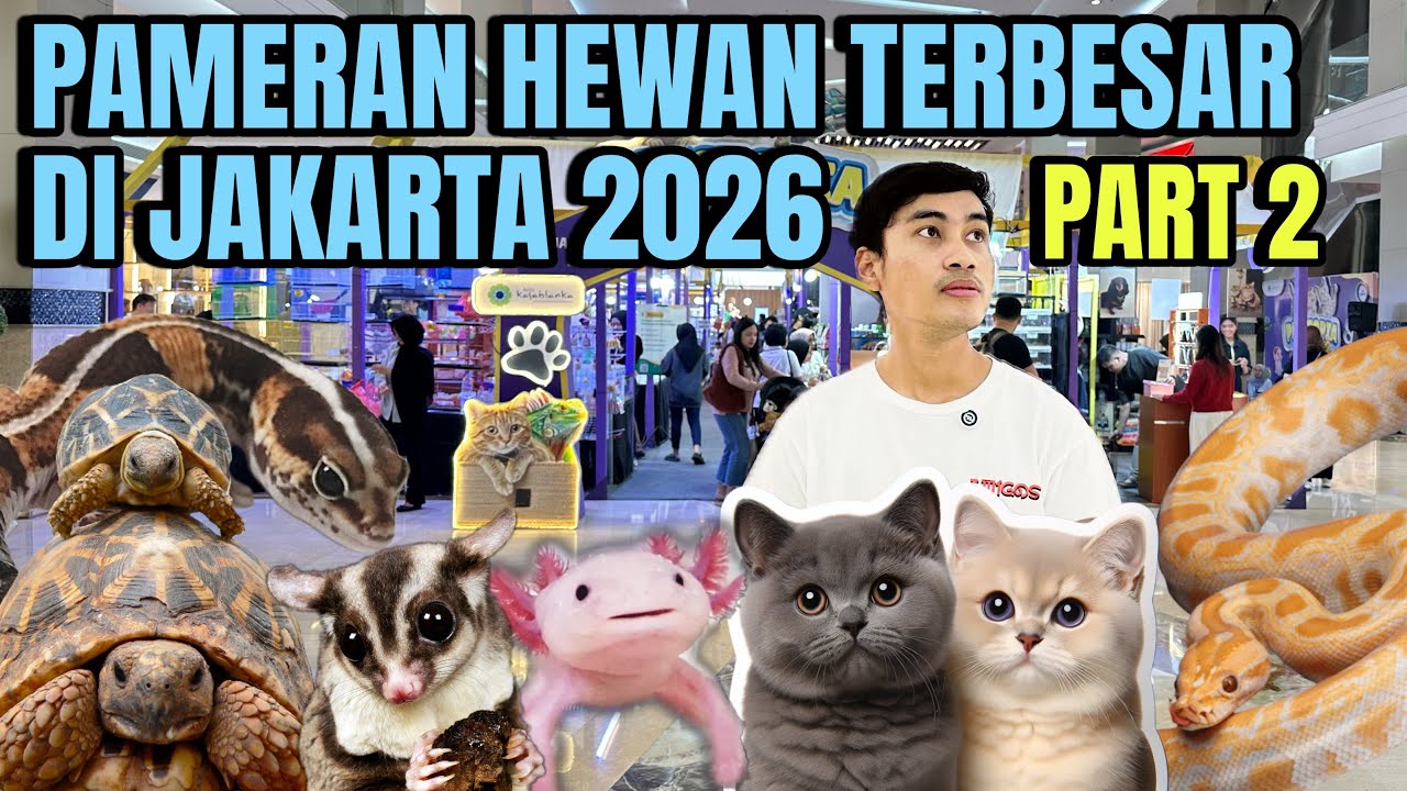 GREBEK PAMERAN HEWAN TERBESAR DI JAKARTA 2026 ‼️ Part 2